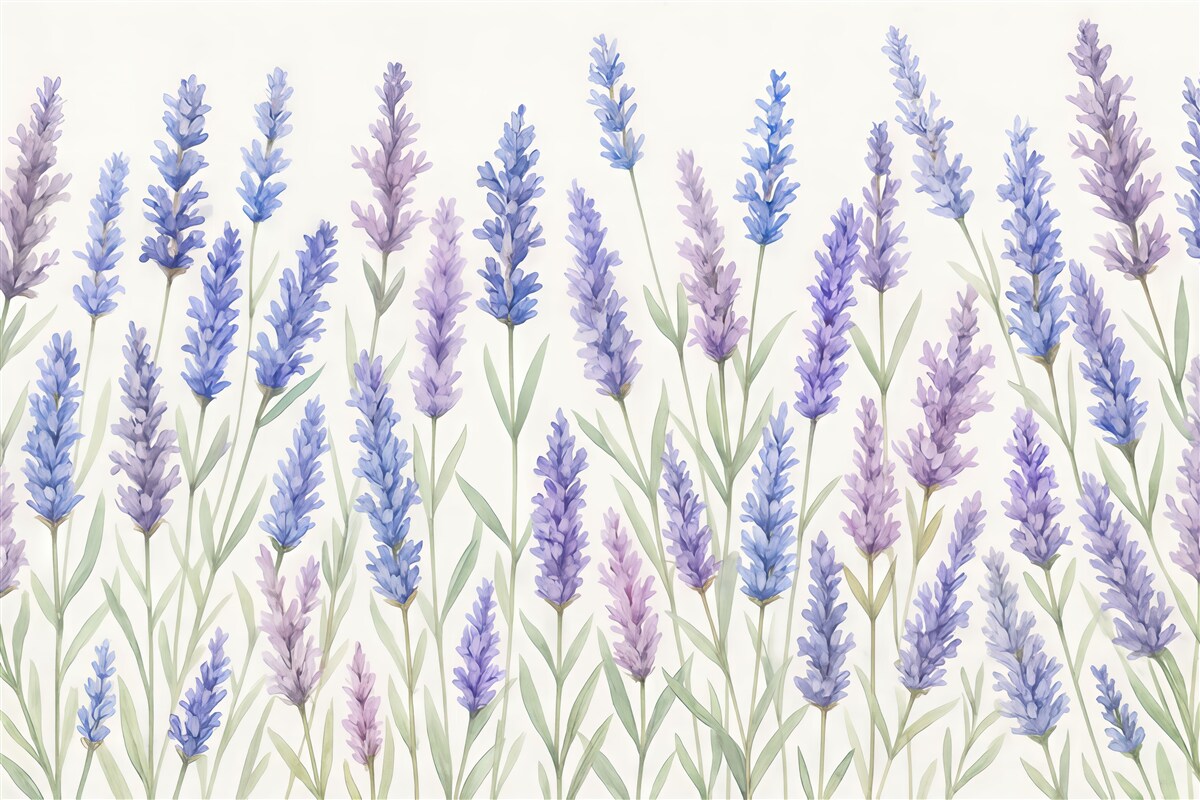 Fototapeta lawendowa łąka w akwarelowym stylu