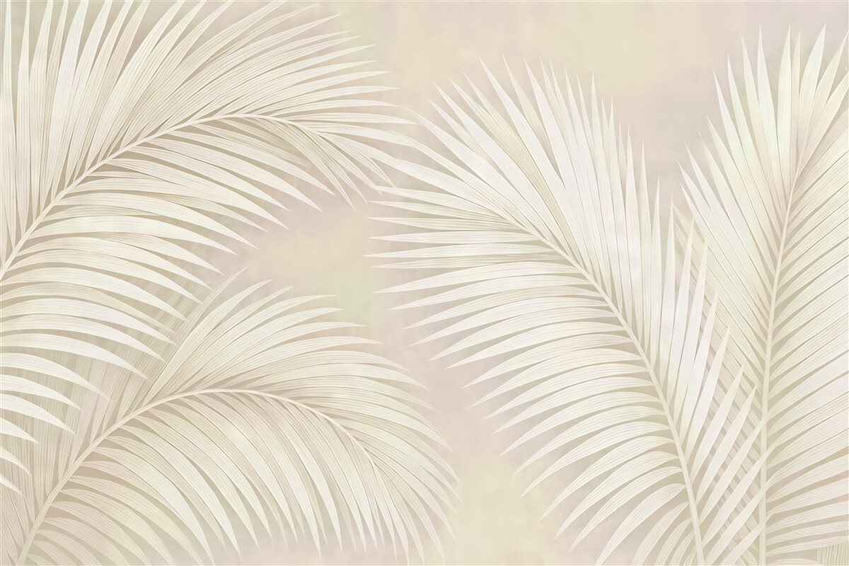 Fototapeta jasne liście palmowe w stylu boho