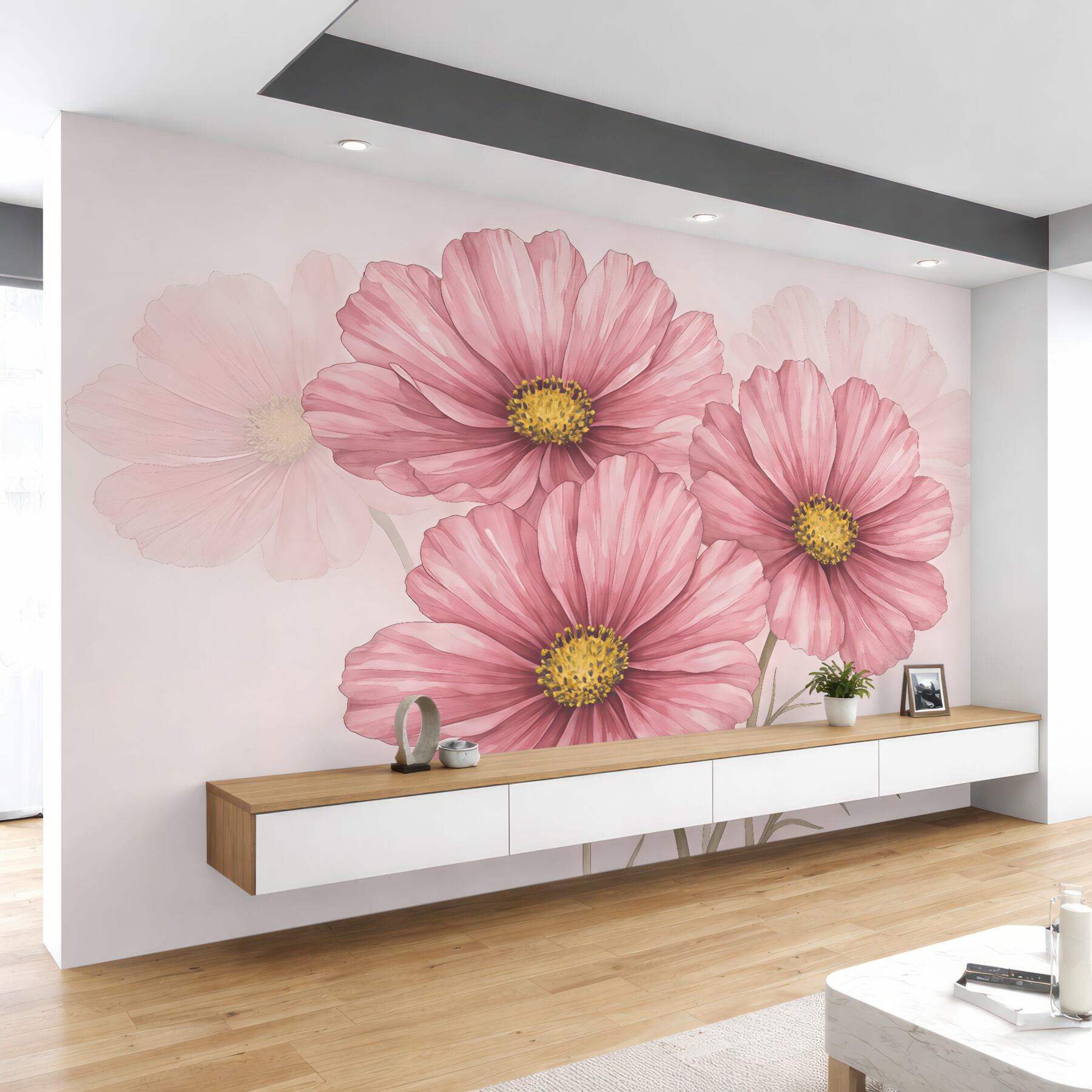 Fototapeta różowe kosmosy w subtelnym rozkwicie