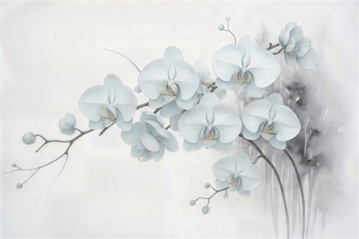 Fototapeta białe orchidee w delikatnej akwareli