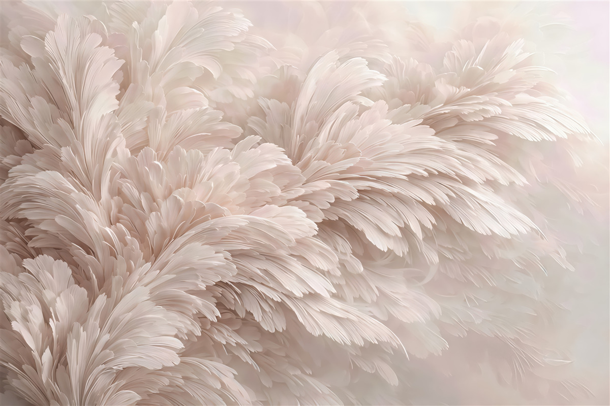Fototapeta pudrowe pióra elegancji