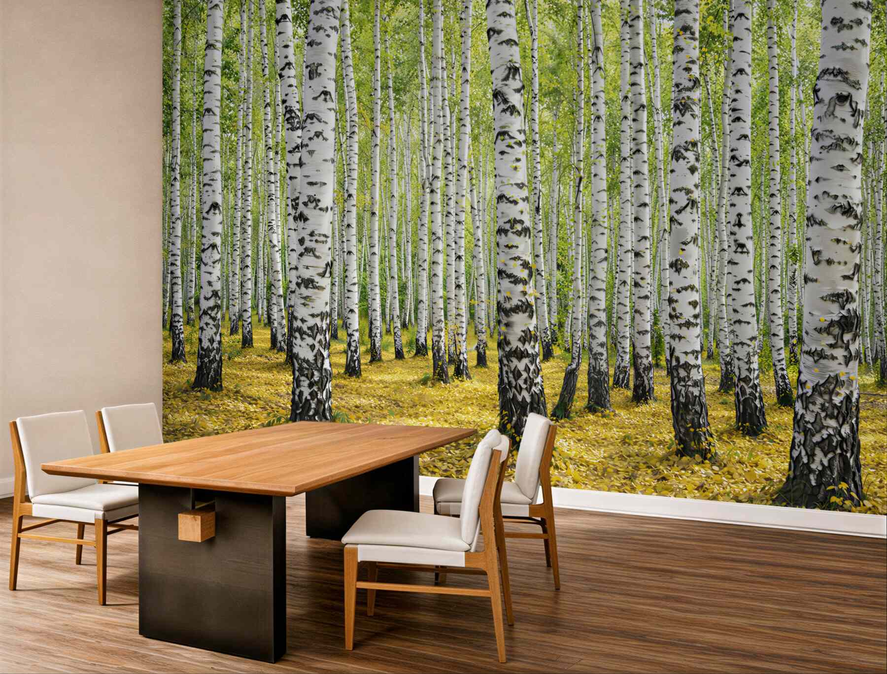Fototapeta las brzozowy zielony z białymi pniami