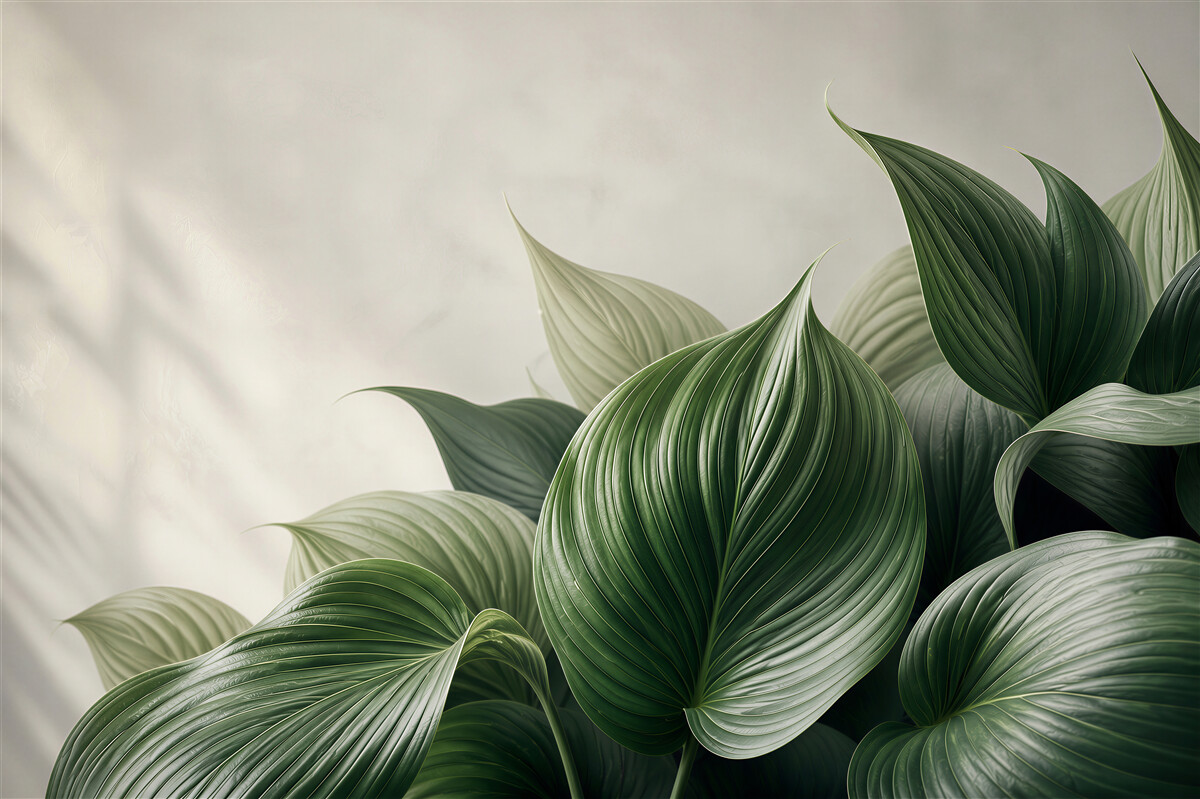 Fototapeta zielone liście botaniczne eleganckie do nowoczesnego wnętrza