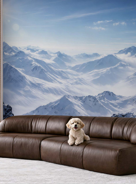 similar product image