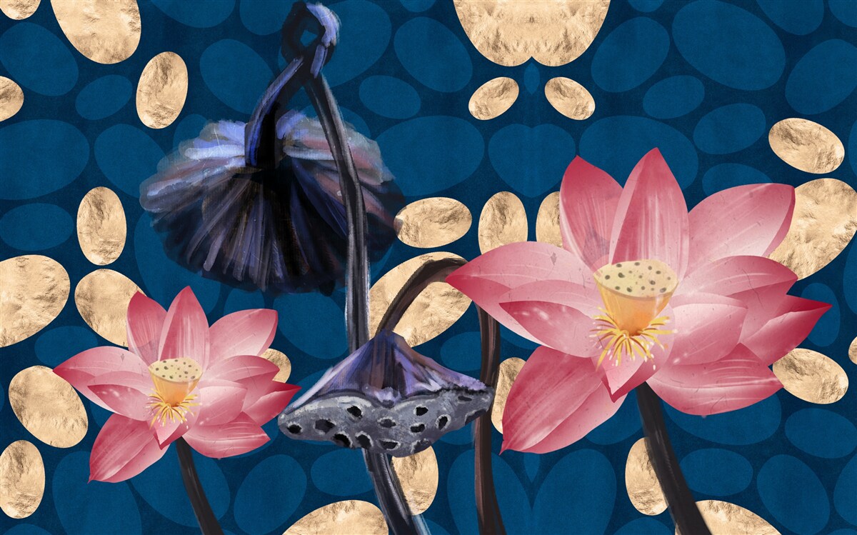 Pb4470